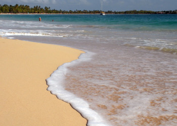 Пляж Лес-Салинес на острове Мартиника – фотографии Мартиники