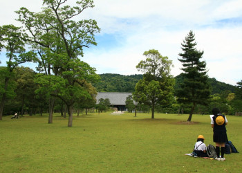 Nara – фотографии Японии