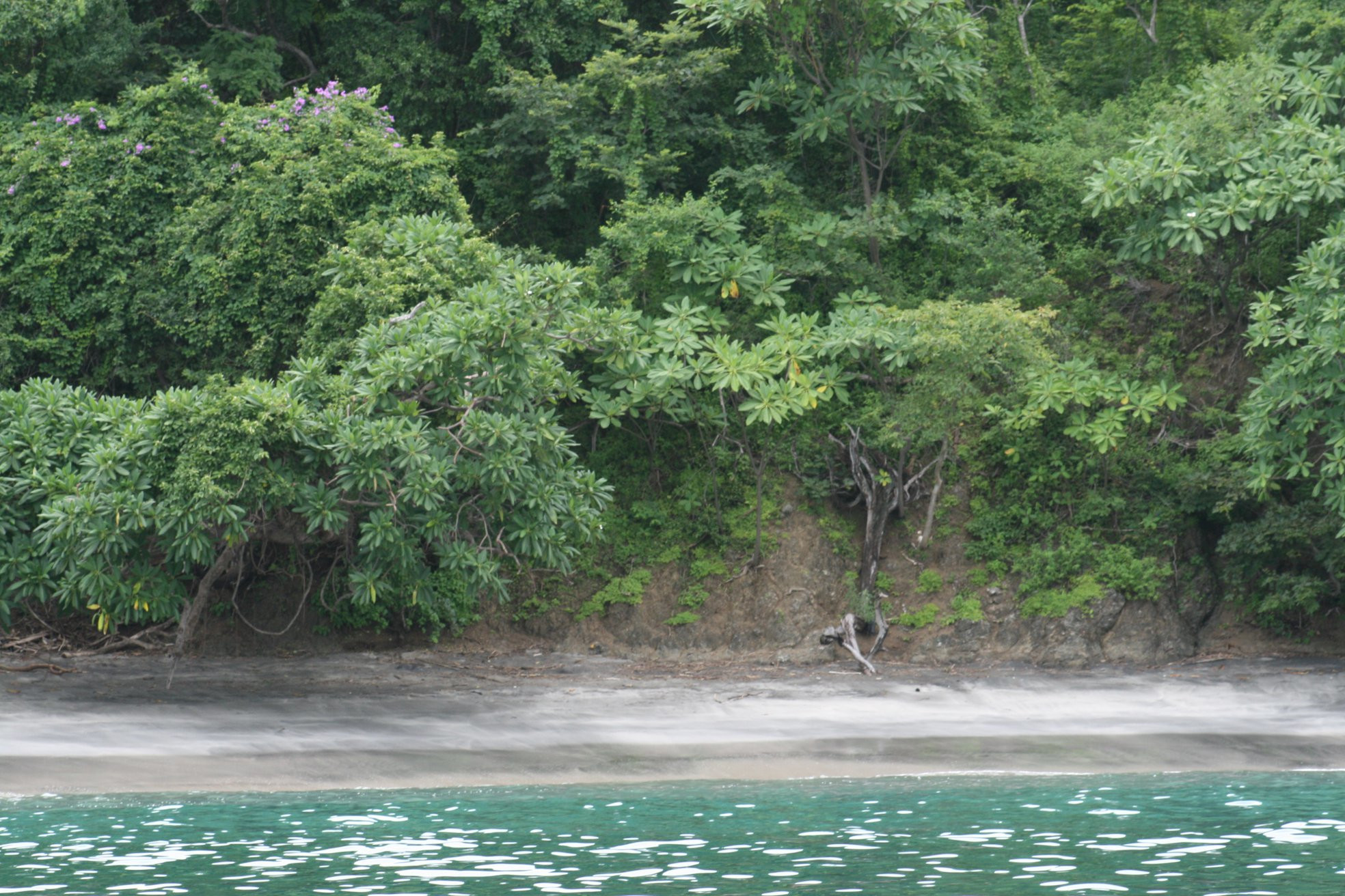 Плайя Фламинго, Гуанакасте провинция, Коста-Рика, фото № 39817 – фотографии Коста-Рики