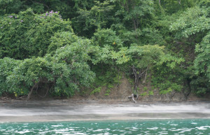 Плайя Фламинго, Гуанакасте провинция, Коста-Рика, фото № 39817 – фотографии Коста-Рики