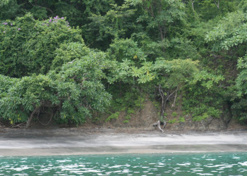 Плайя Фламинго, Гуанакасте провинция, Коста-Рика, фото № 39817 – фотографии Коста-Рики