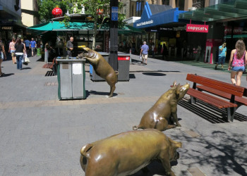 Бронзовые хрюшки, Аделаида, Австралия – фотографии Австралии