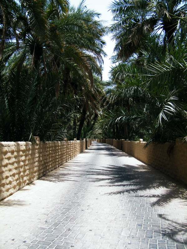 Улицы оазиса в Аль-Аине  – фотографии ОАЭ