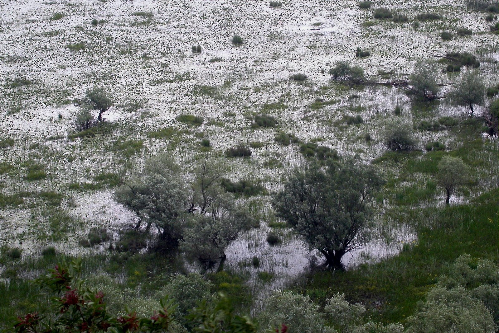 Национальный парк, Черногория. Фото 13 – фотографии Черногории