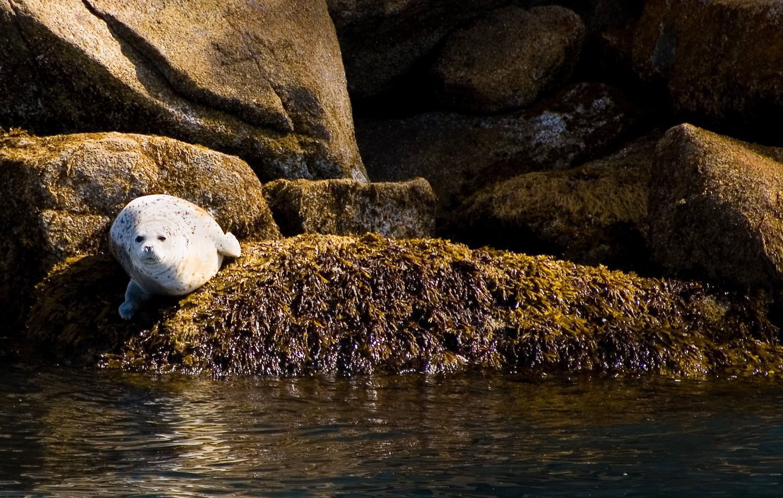 Аляска штат, США, фото № 67665 – фотографии США