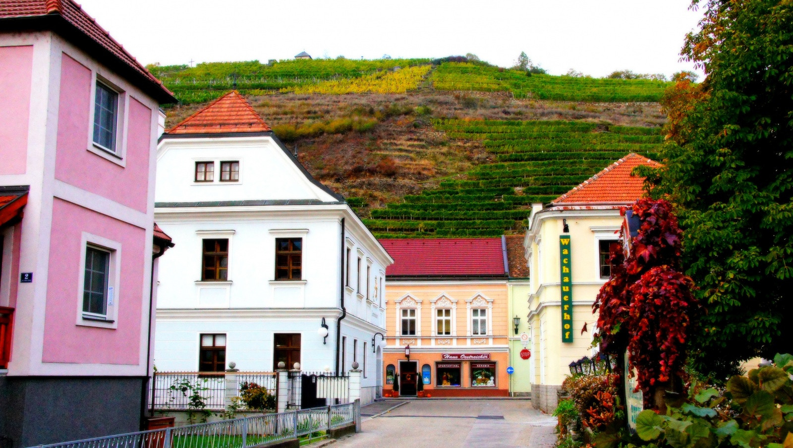 Город Шпиц – фотографии Австрии