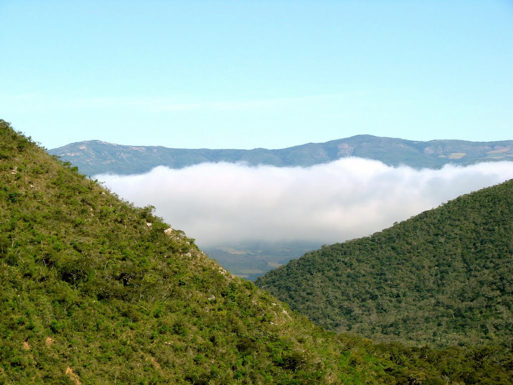 Парк Амборо в центральной части Боливии – фотографии Боливии
