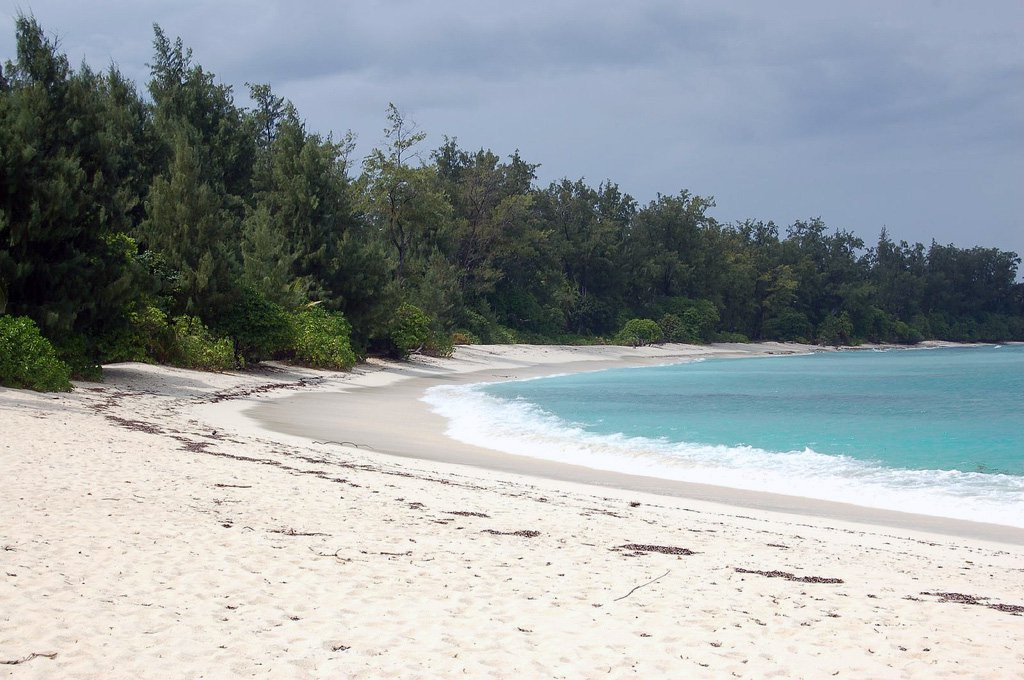 Пляж на острове Денис. Фото 3 – фотографии Сейшельских островов