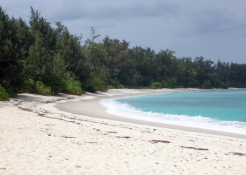 Пляж на острове Денис. Фото 3 – фотографии Сейшельских островов