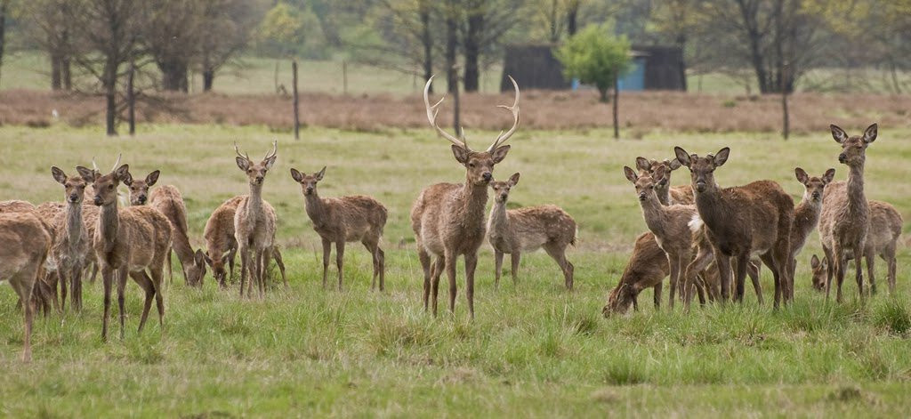 Украина, фото № 1892 – фотографии Украины