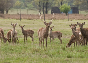 Украина, фото № 1892 – фотографии Украины