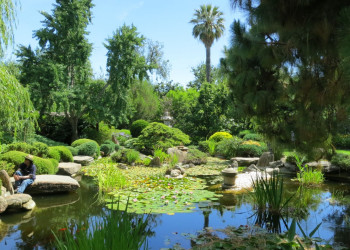 Ботанический сад Аделаиды (Botanic Garden Adelaide) – фотографии Австралии