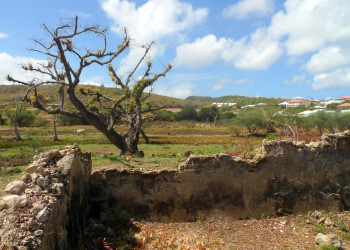 На юге Мартиники – фотографии Мартиники