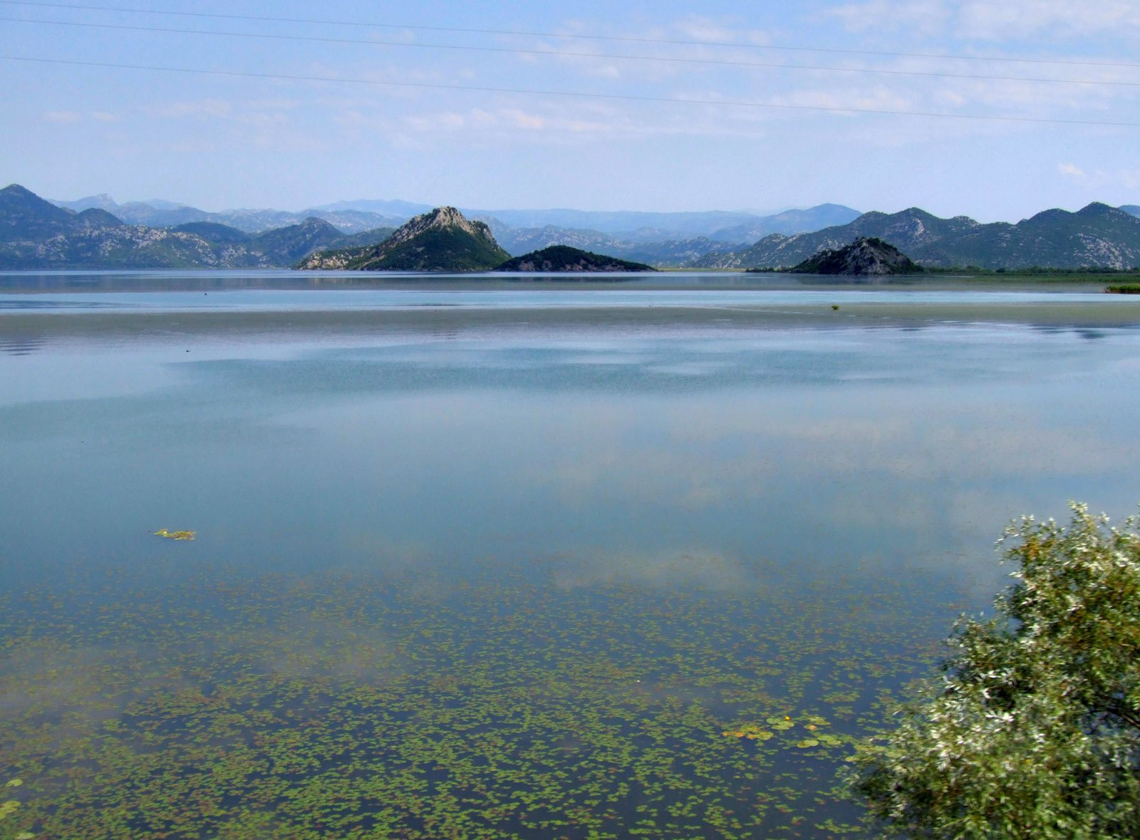 Скадарское озеро, Черногория. Фото 33 – фотографии Черногории