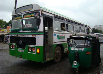 Шри-Ланка, фото № 1176 – фотографии Шри-Ланки