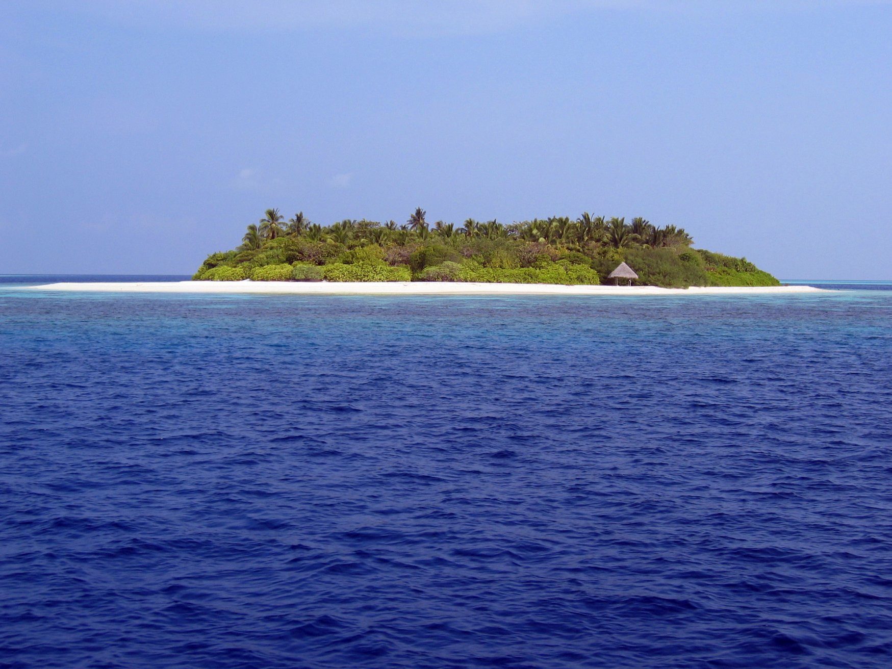 Лавияни атолл, Мальдивы, фото № 77238 – фотографии Мальдивских островов