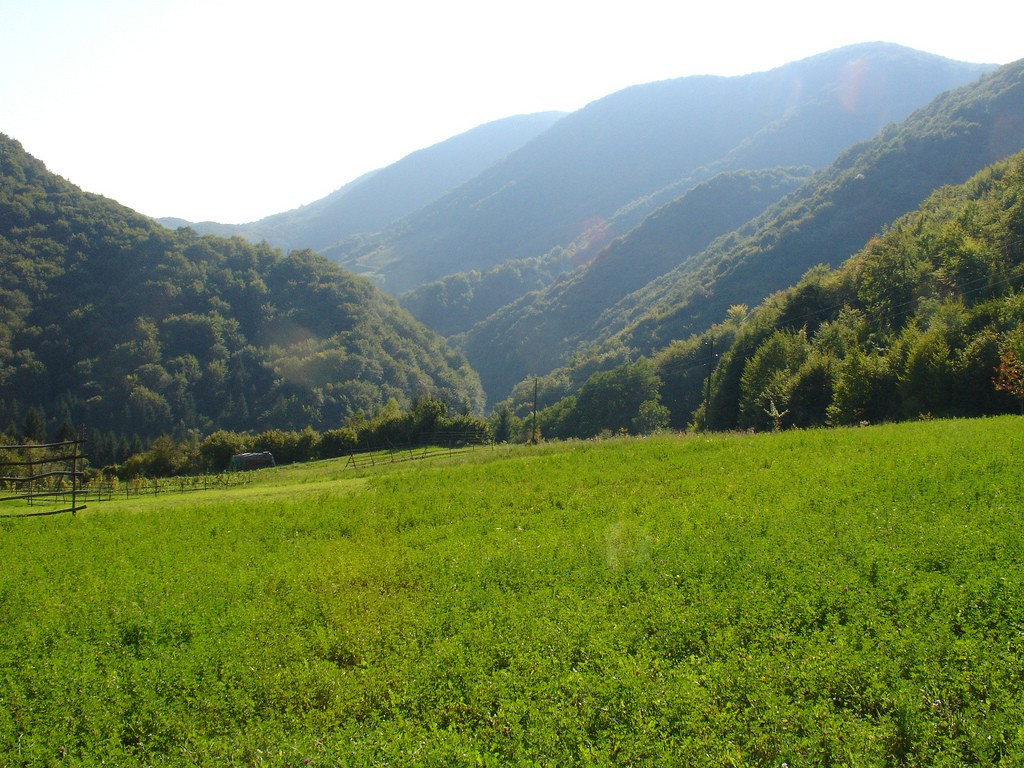 Природа Словонии, Хорватия – фотографии Хорватии