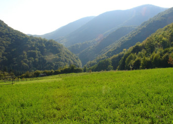 Природа Словонии, Хорватия – фотографии Хорватии