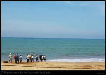Шри-Ланка, фото № 1150 – фотографии Шри-Ланки