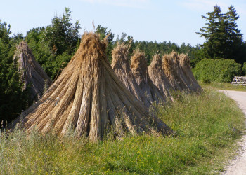 Вормси (Vormsi) – фотографии Эстонии