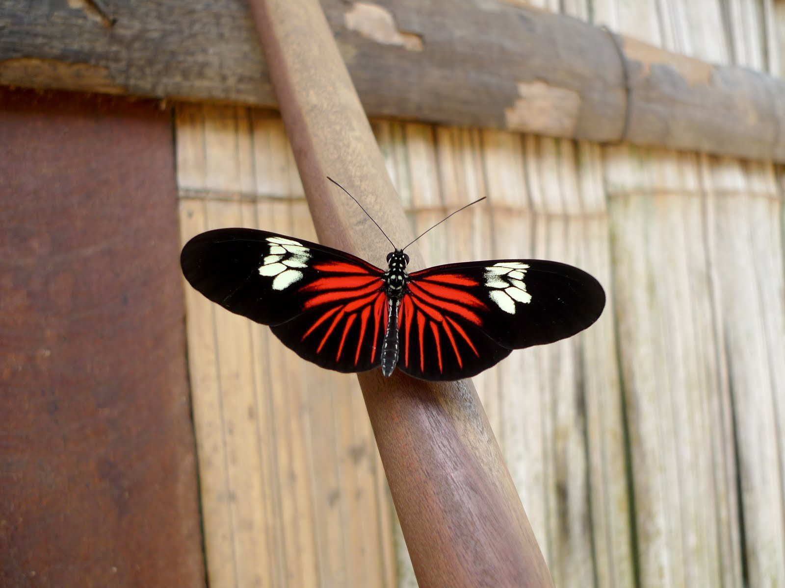 Боливия, фото № 2976 – фотографии Боливии