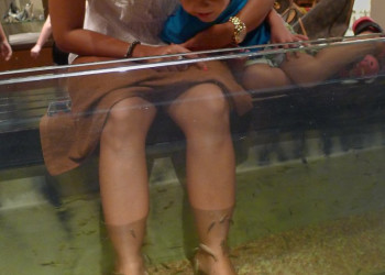 Пилинг рыбками – фотографии Сингапура