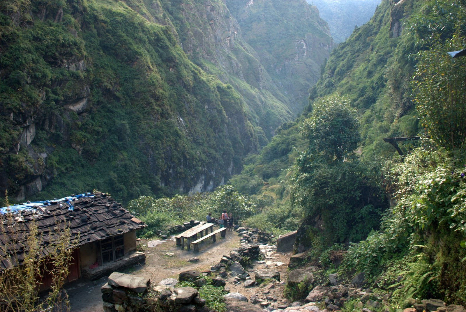 Аннапурна заповедник, Непал, фото № 78903 – фотографии Непала