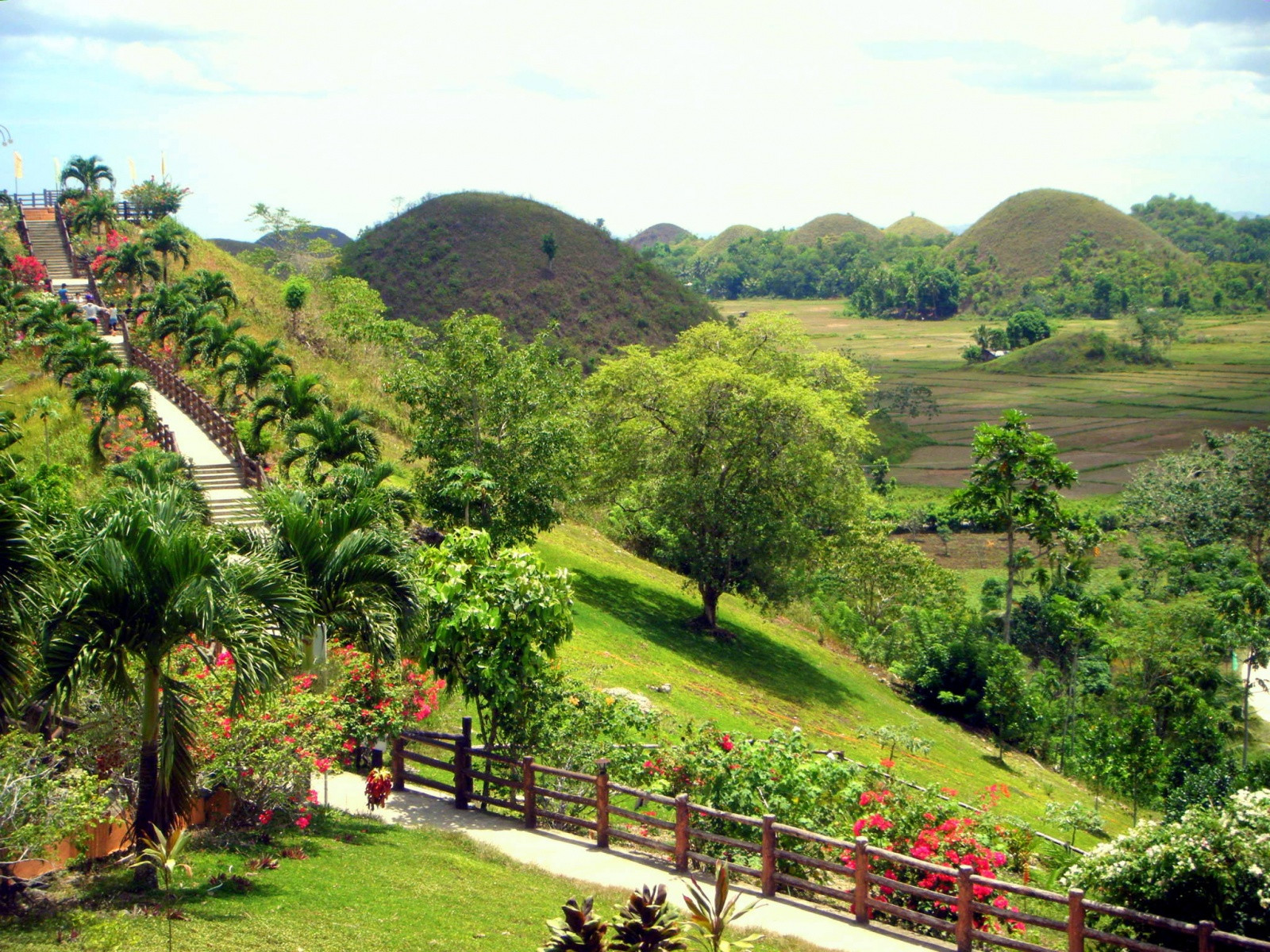 Шоколадные холмы на острове Бохоль, Филиппины. Фото 5 – фотографии Филиппин