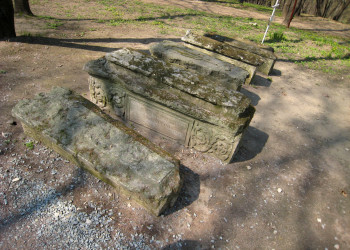 Парк Коломенское – фотографии России