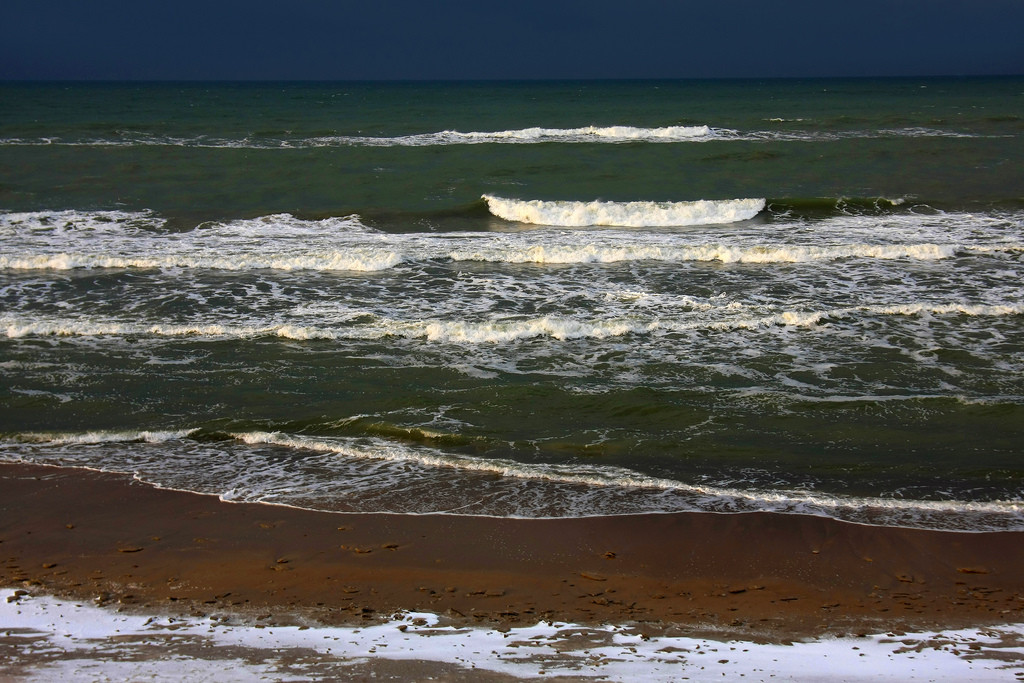 Куршская коса. Фото 2 – фотографии России