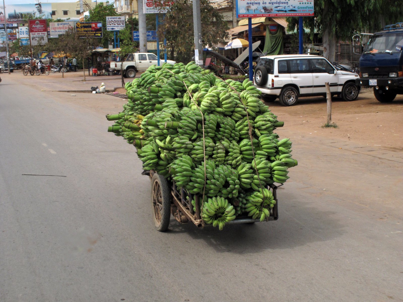 Бананы в Кампонгтяме, Камбоджа – фотографии Камбоджи