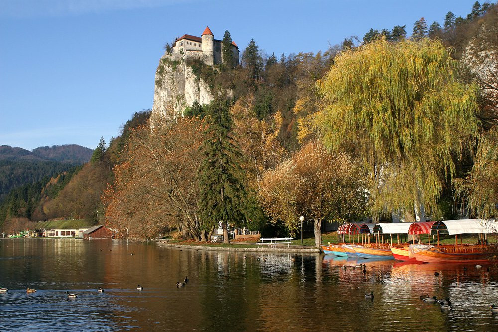 Блед, Блед Озеро, Словения, фото № 56800 – фотографии Словении