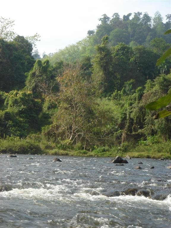 Китулгала, Шри-Ланка, фото № 51487 – фотографии Шри-Ланки