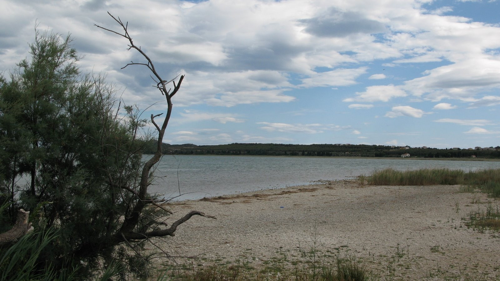 Берега на озере Вранско, Хорватия. Фото 1 – фотографии Хорватии