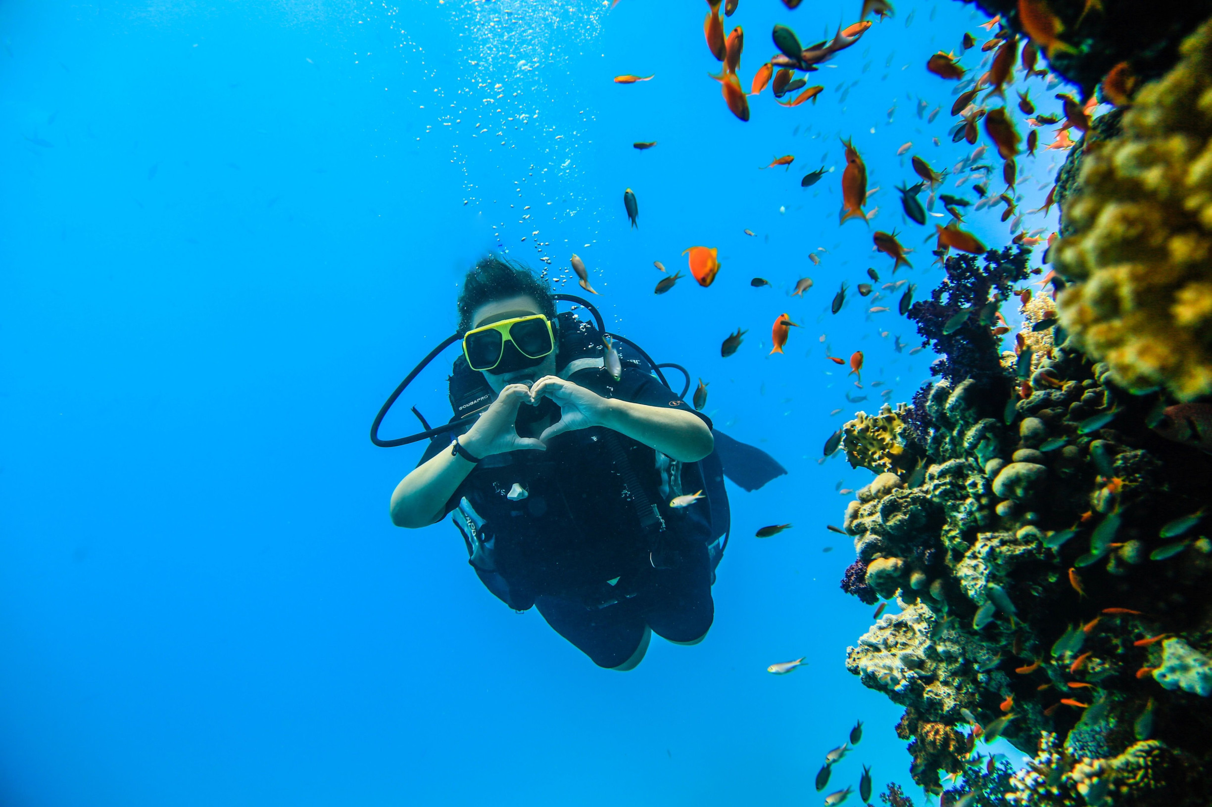 3 – фотографии