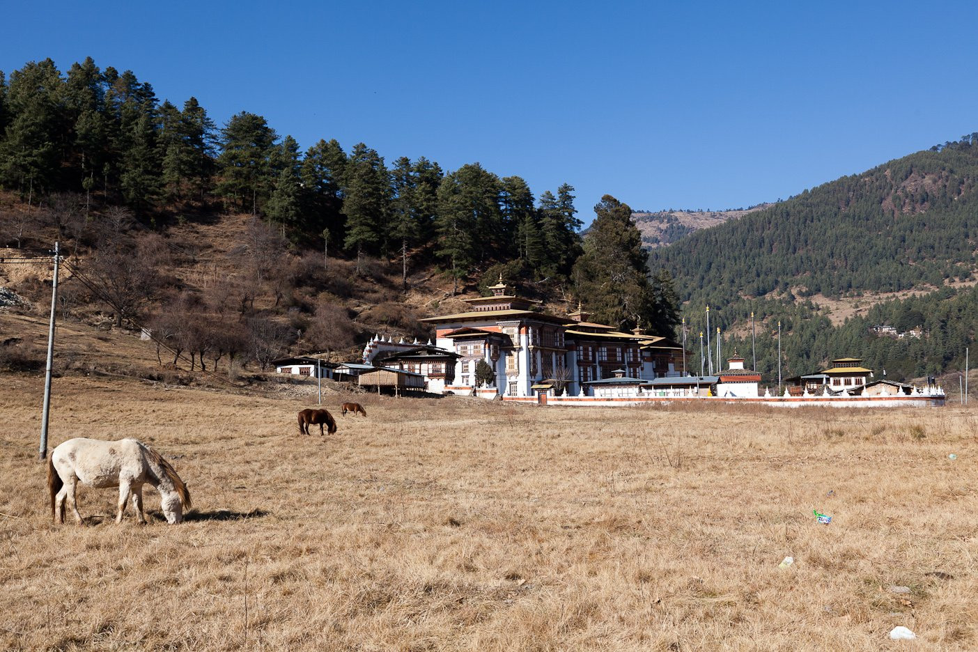 Курджей-лакханг (Kurjey Lhakhang) – фотографии Бутана