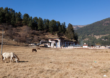 Курджей-лакханг (Kurjey Lhakhang) – фотографии Бутана