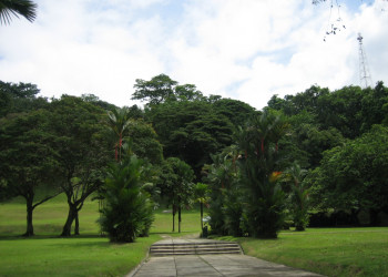 Форт Каннинг (Fort Canning) – фотографии Сингапура