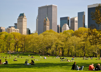 В Центральном парке в Нью-Йорке – фотографии США