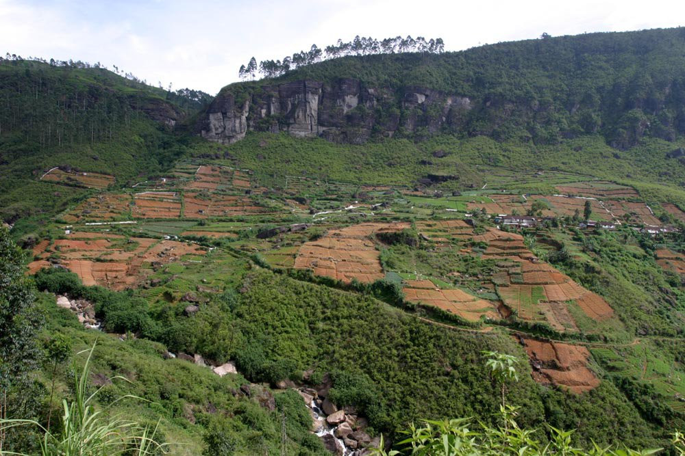 Нувара Элия, Шри-Ланка, фото № 52040 – фотографии Шри-Ланки