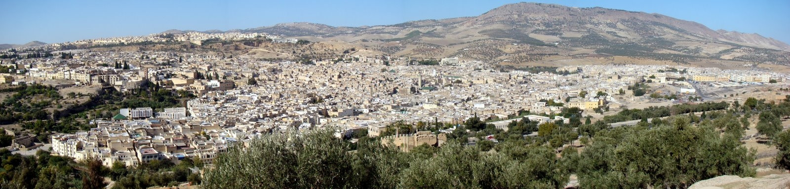 Фес, Марокко, фото № 8456 – фотографии Марокко