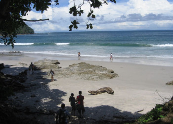 Пунта Леона, Пунтаренас провинция, Коста-Рика, фото № 41024 – фотографии Коста-Рики