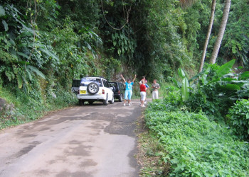 Дикая природа в Гренаде – фотографии Гренады