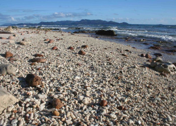 Берег острова Арид, Сейшелы – фотографии Сейшельских островов