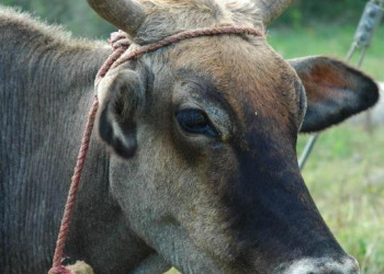 Сосуа, Доминикана, фото № 30678 – фотографии Доминиканы