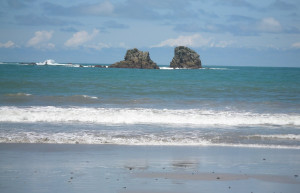 Мануэль Антонио Национальный Парк, Пунтаренас провинция, Коста-Рика, фото № 40721 – фотографии Коста-Рики