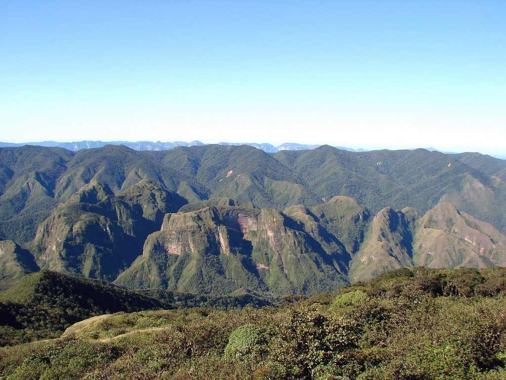 Парк Амборо – фотографии Боливии