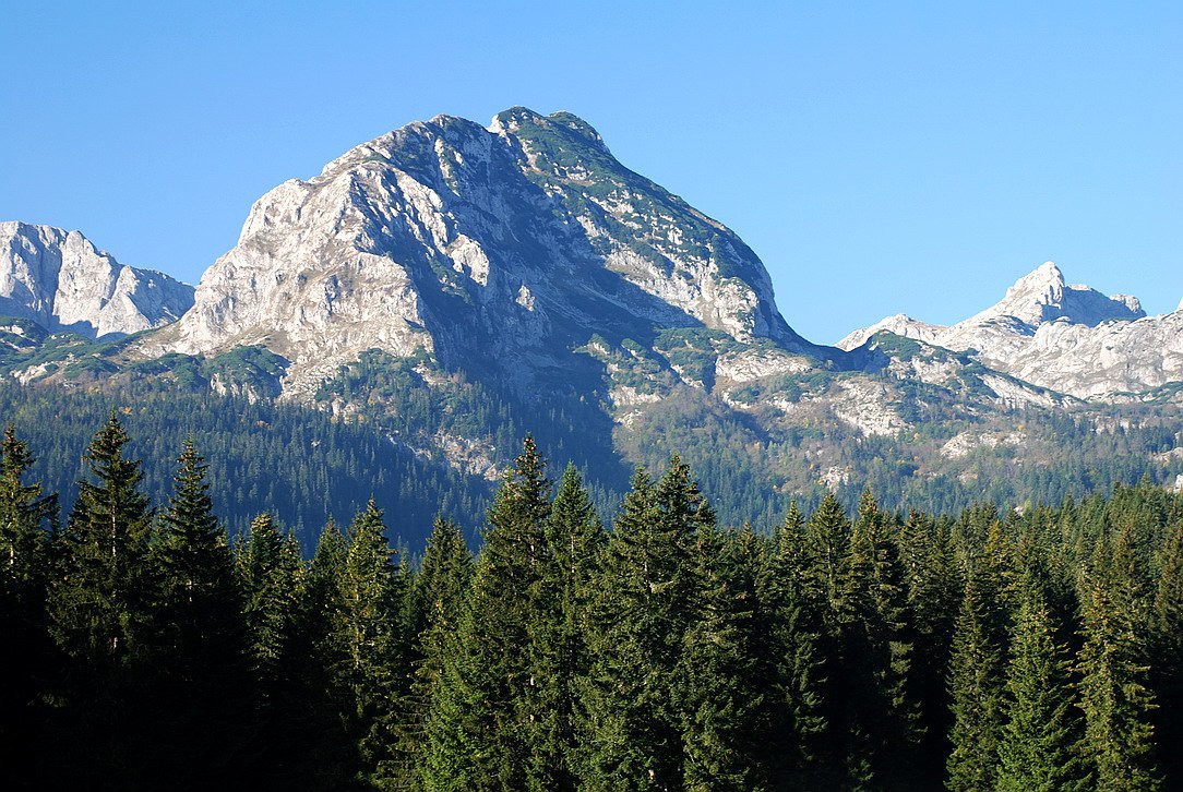 Природа в Дурмитор, Черногория. Фото 44 – фотографии Черногории