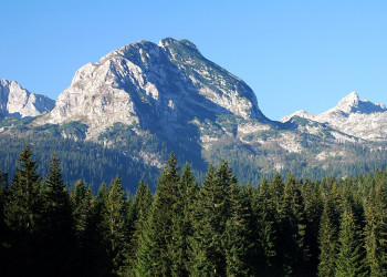 Природа в Дурмитор, Черногория. Фото 44 – фотографии Черногории