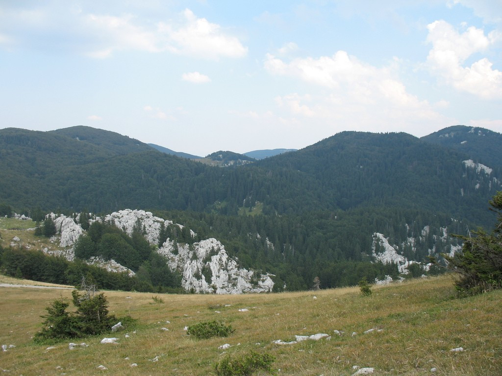 Природа в Национальном парке, Хорватия. Фото 11 – фотографии Хорватии